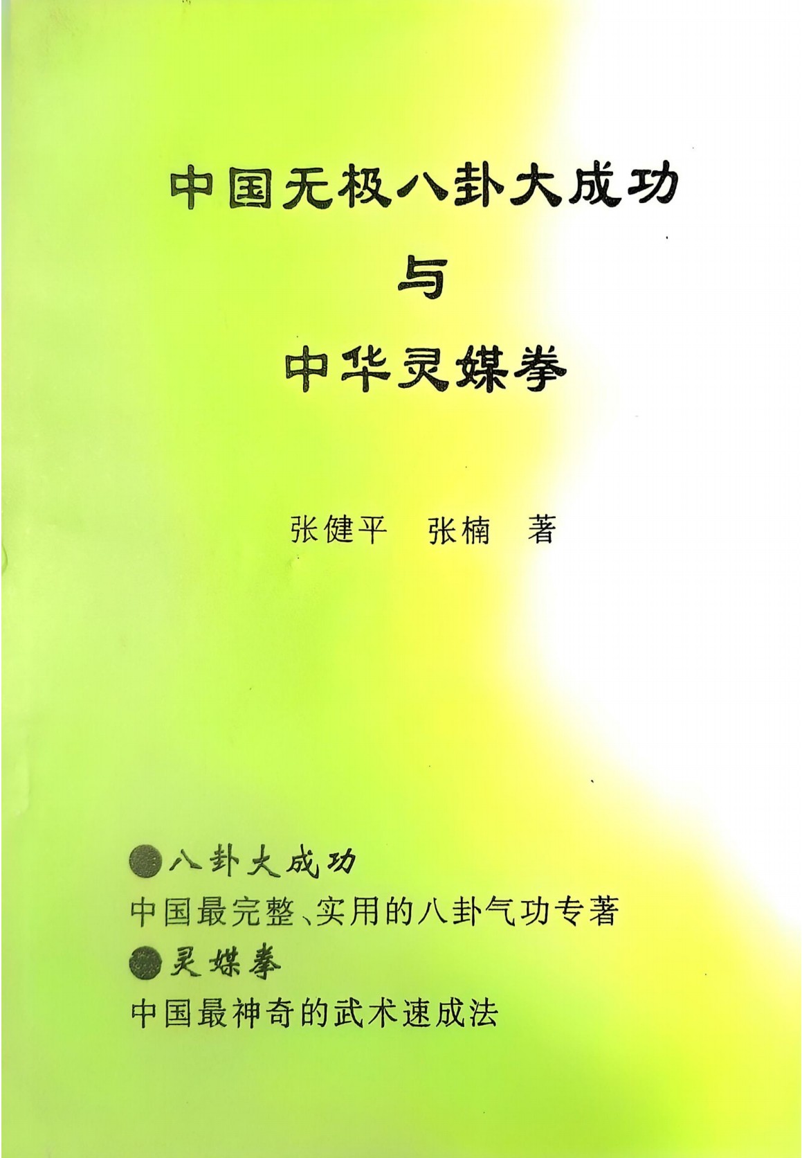 无极八卦大成功与中华灵媒拳299页电子版