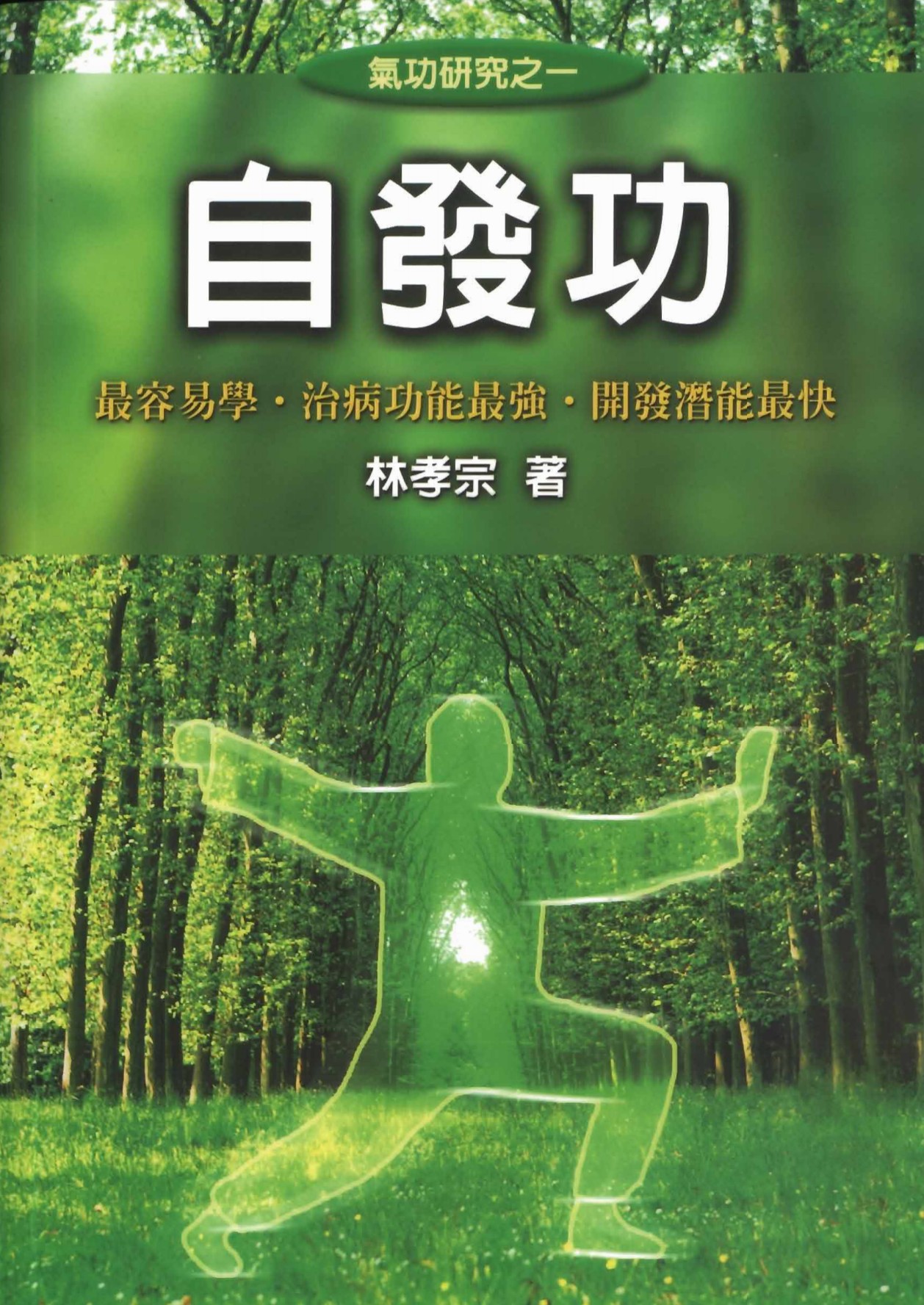 开发潜能的自发功347页电子版