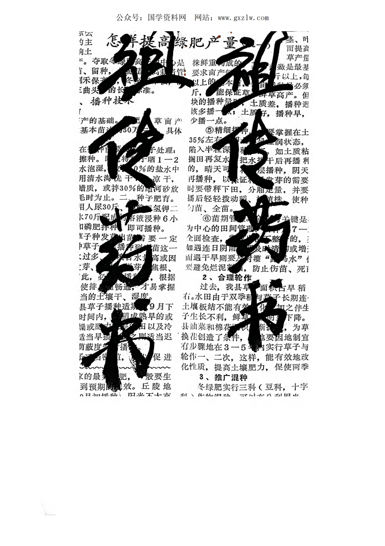 手抄古本祖传药书91页电子版